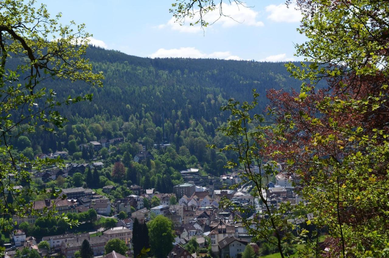 Ferienwohnung Am Kurpark Bad Wildbad Exterior foto