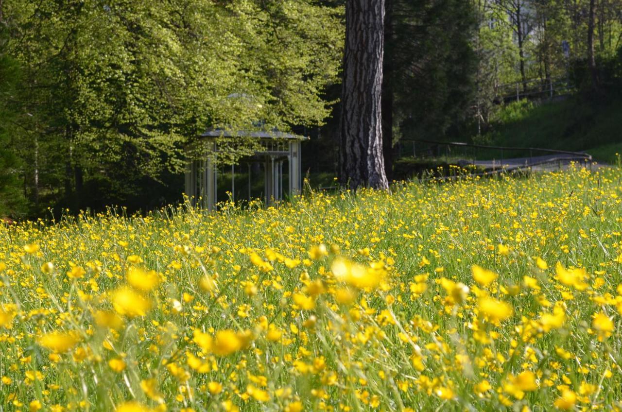 Ferienwohnung Am Kurpark Bad Wildbad Exterior foto
